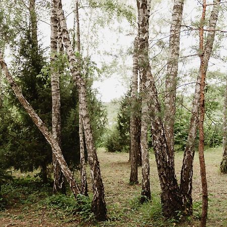 Berzu Namelis - Birch Cabin Kuciunai Bagian luar foto