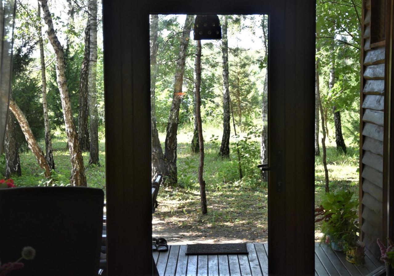 Berzu Namelis - Birch Cabin Kuciunai Bagian luar foto