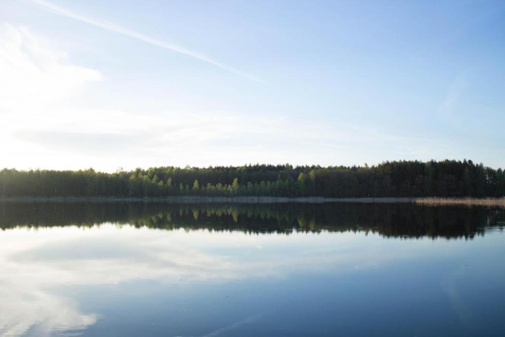 Berzu Namelis - Birch Cabin Kuciunai Bagian luar foto