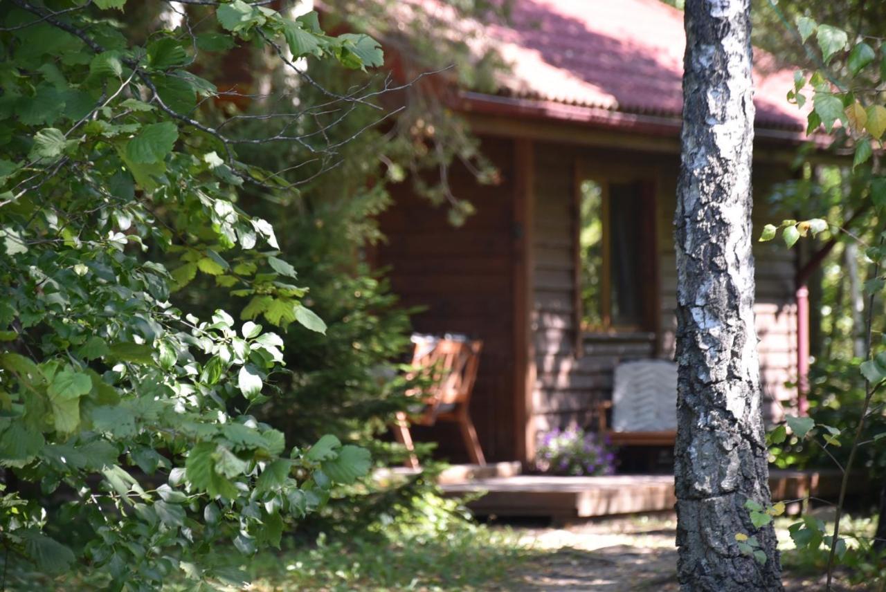 Berzu Namelis - Birch Cabin Kuciunai Bagian luar foto