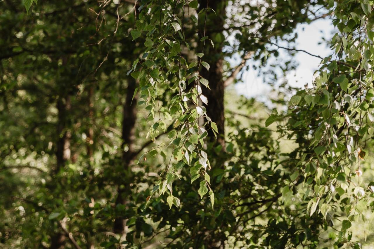 Berzu Namelis - Birch Cabin Kuciunai Bagian luar foto