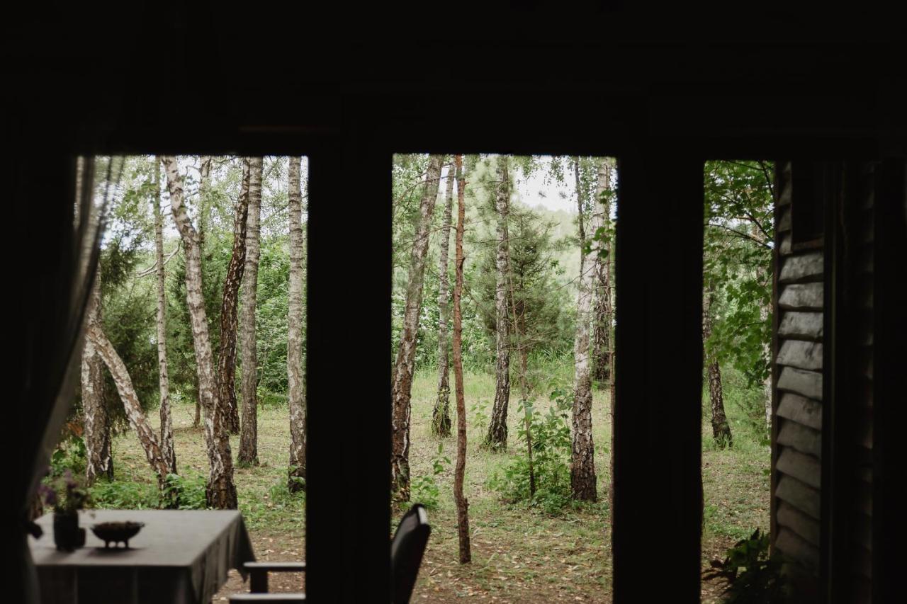 Berzu Namelis - Birch Cabin Kuciunai Bagian luar foto
