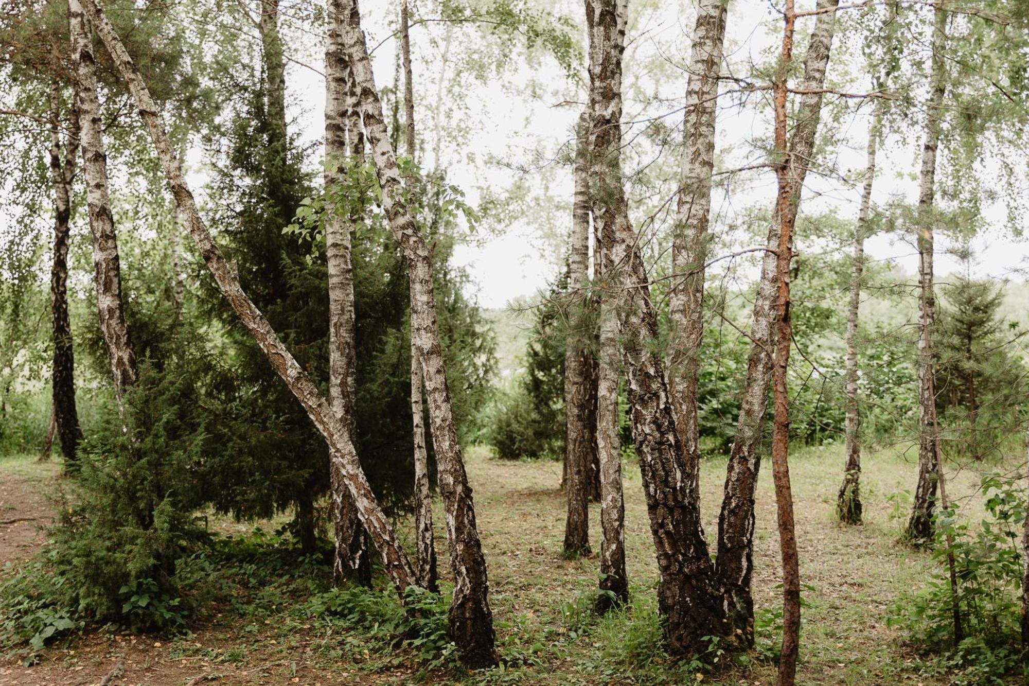 Berzu Namelis - Birch Cabin Kuciunai Bagian luar foto