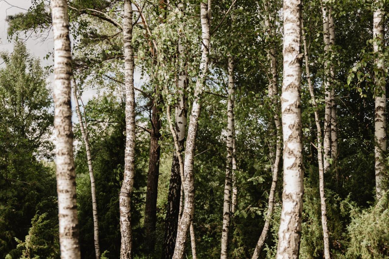 Berzu Namelis - Birch Cabin Kuciunai Bagian luar foto