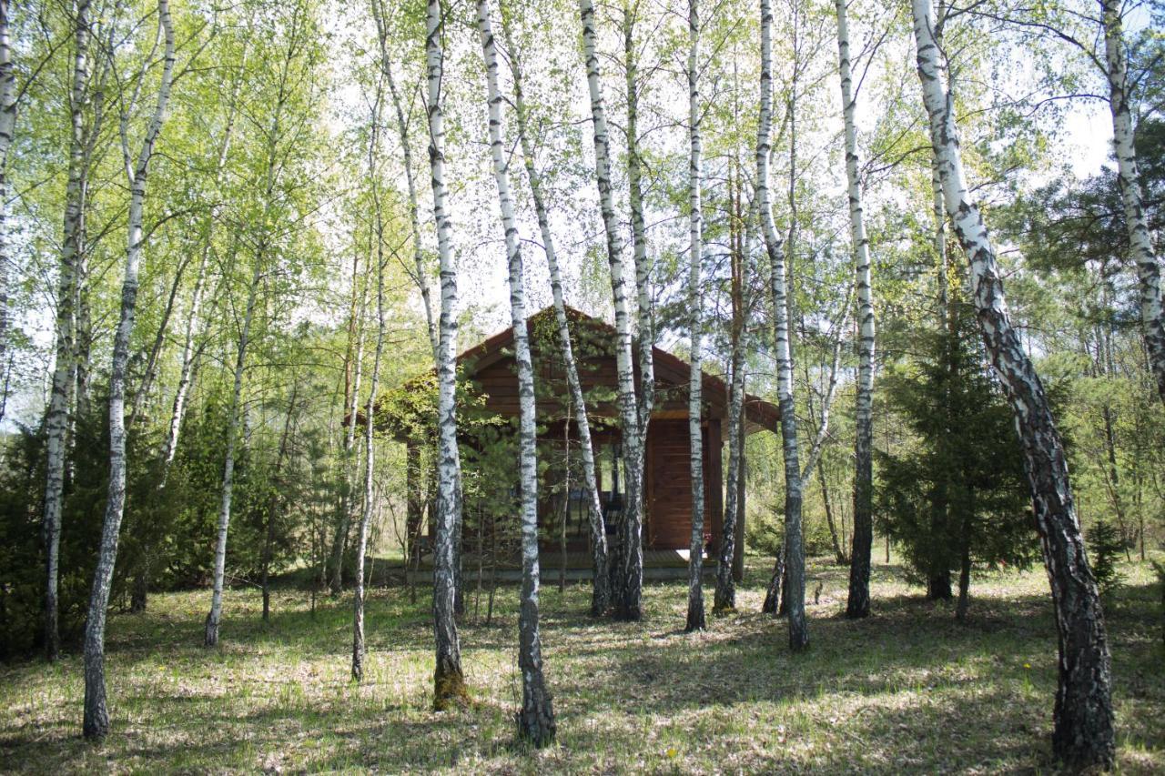 Berzu Namelis - Birch Cabin Kuciunai Bagian luar foto